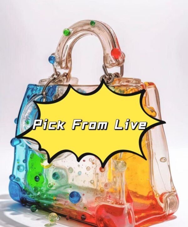 Handbag